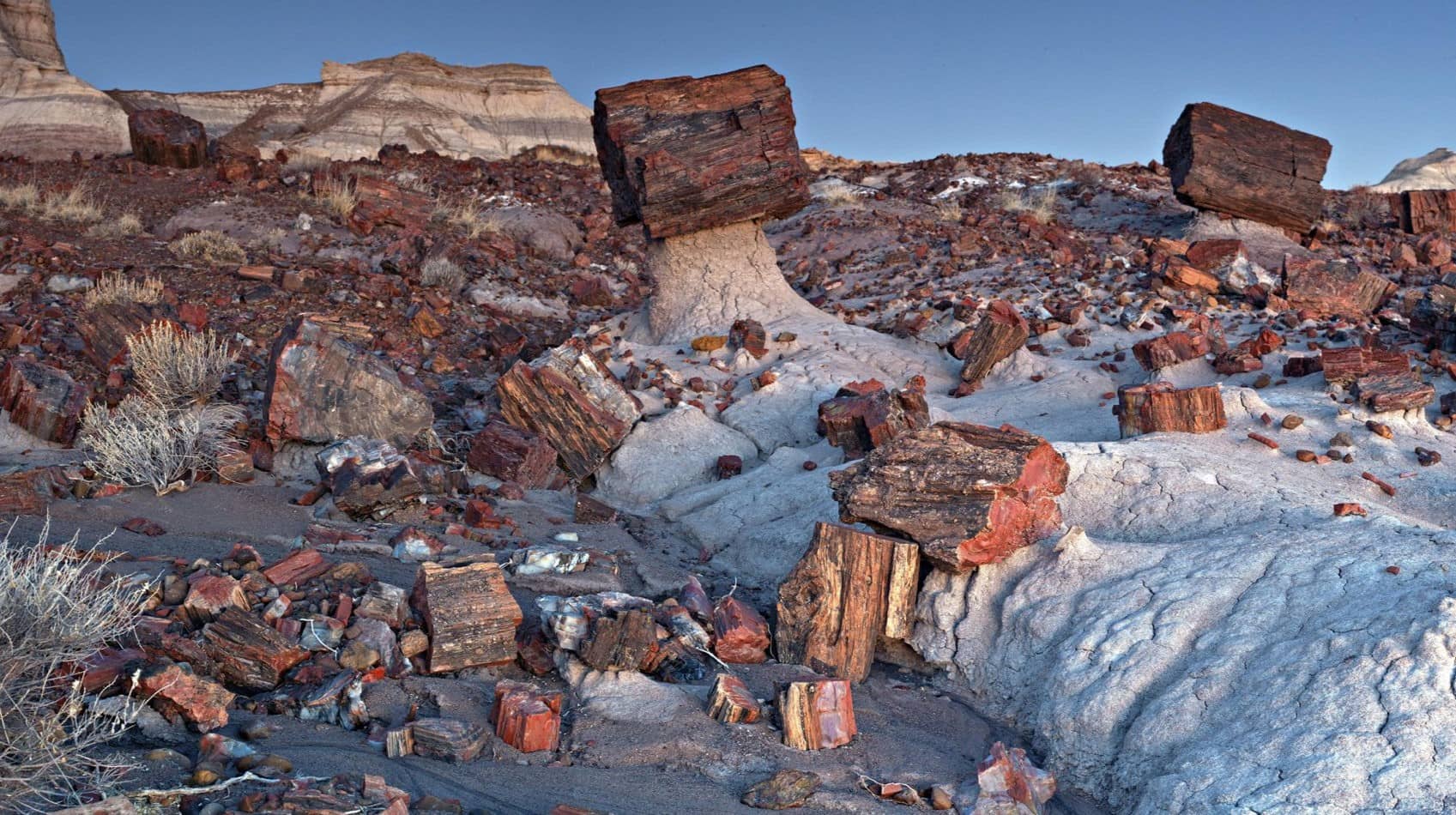 Hidden-Spherulite-Fields-In-Arizona8217s-Petrified-Forest-National-Park hidden-spherulite-fields-in-arizonas-petrified-forest-national-park