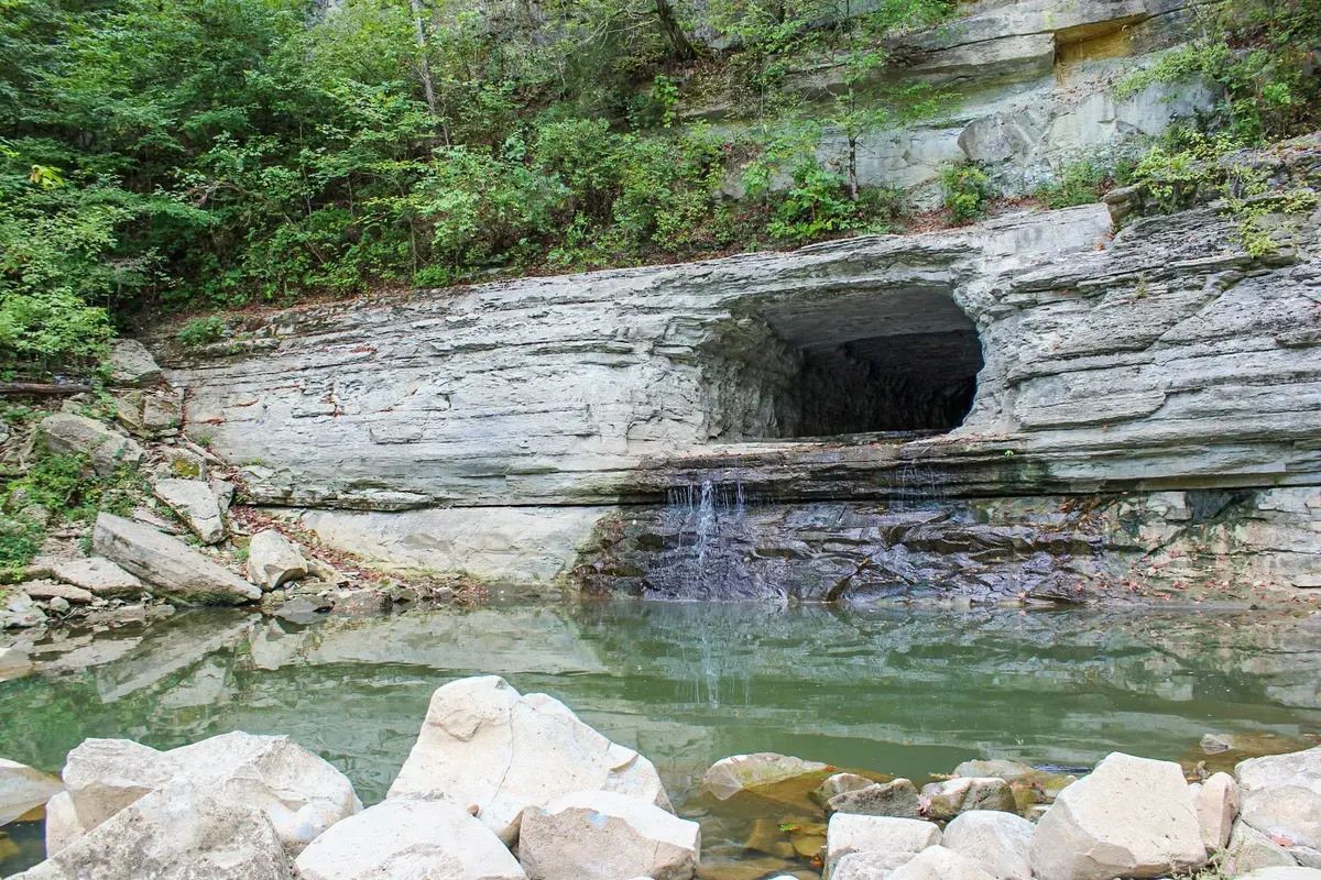 hidden-spider-lily-sanctuaries-along-tennessees-harpeth-river