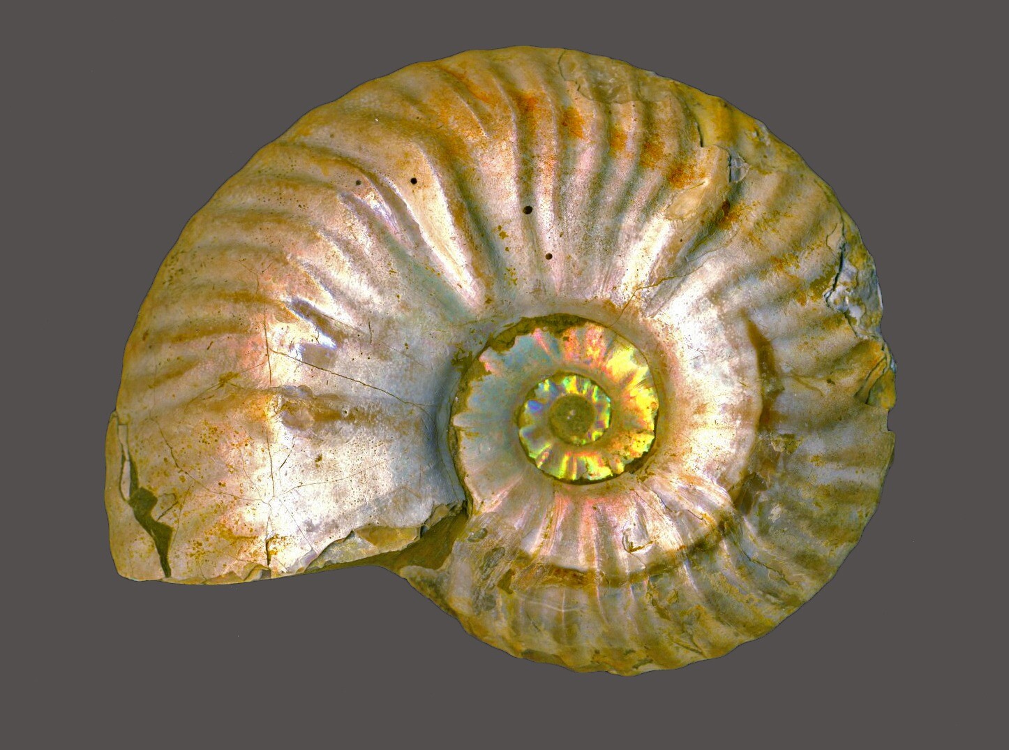 Hidden-Spirals-Of-The-Shifting-Shales hidden-spirals-of-the-shifting-shales