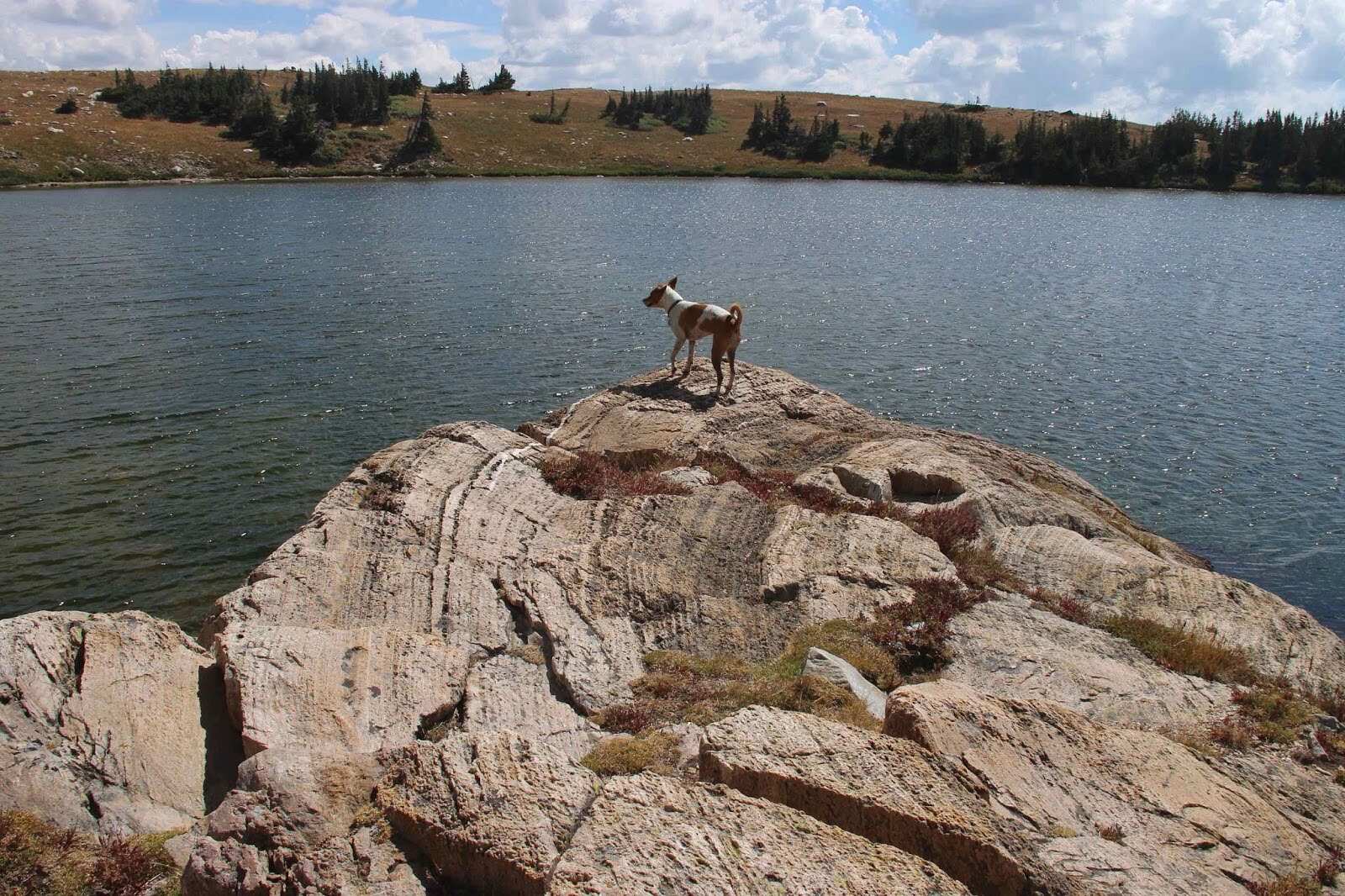 hidden-stromatolite-lakes-in-wyomings-medicine-bow-mountains