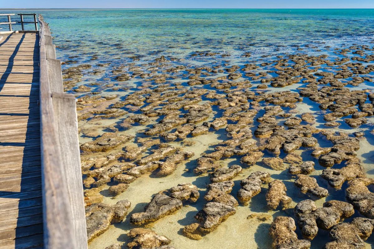 Hidden-Stromatolite-Pools-In-Wisconsin8217s-Door-Peninsula hidden-stromatolite-pools-in-wisconsins-door-peninsula