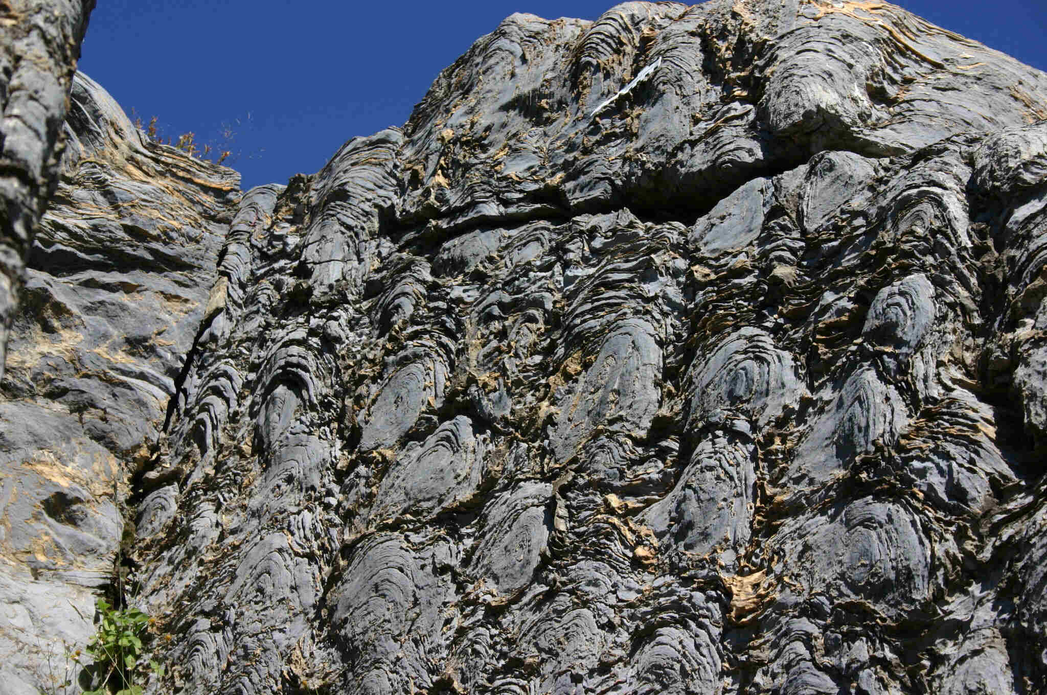 hidden-stromatolite-reefs-of-montanas-glacier-national-park