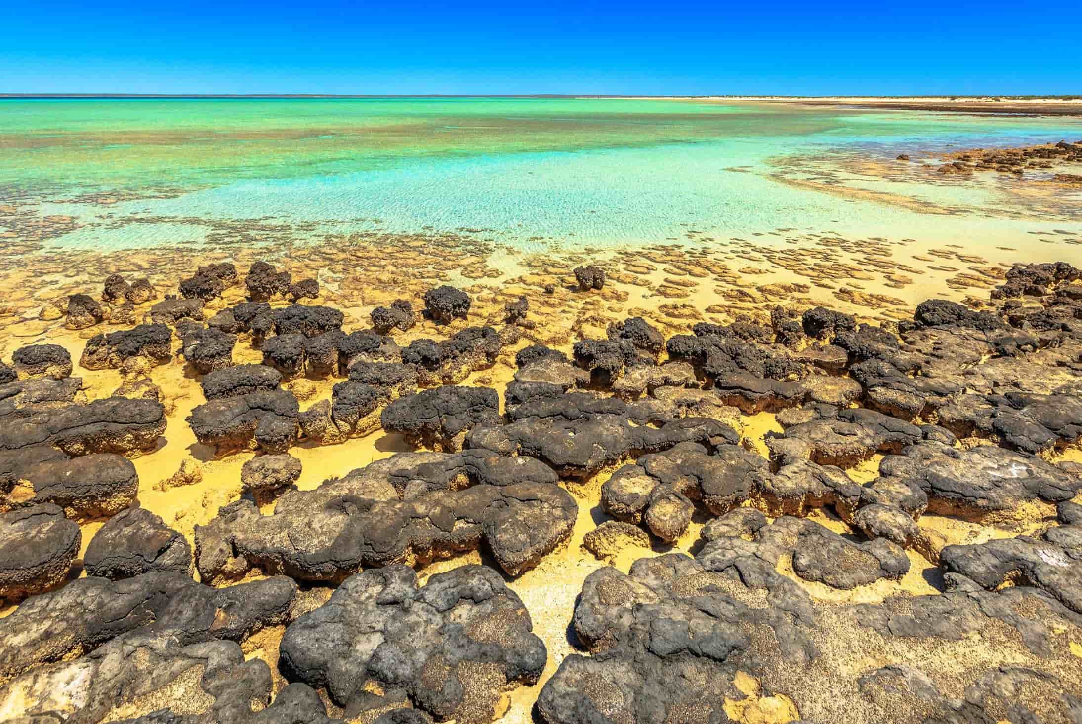 Hidden-Stromatolite-Shores-Of-The-Ancient-Archipelago hidden-stromatolite-shores-of-the-ancient-archipelago