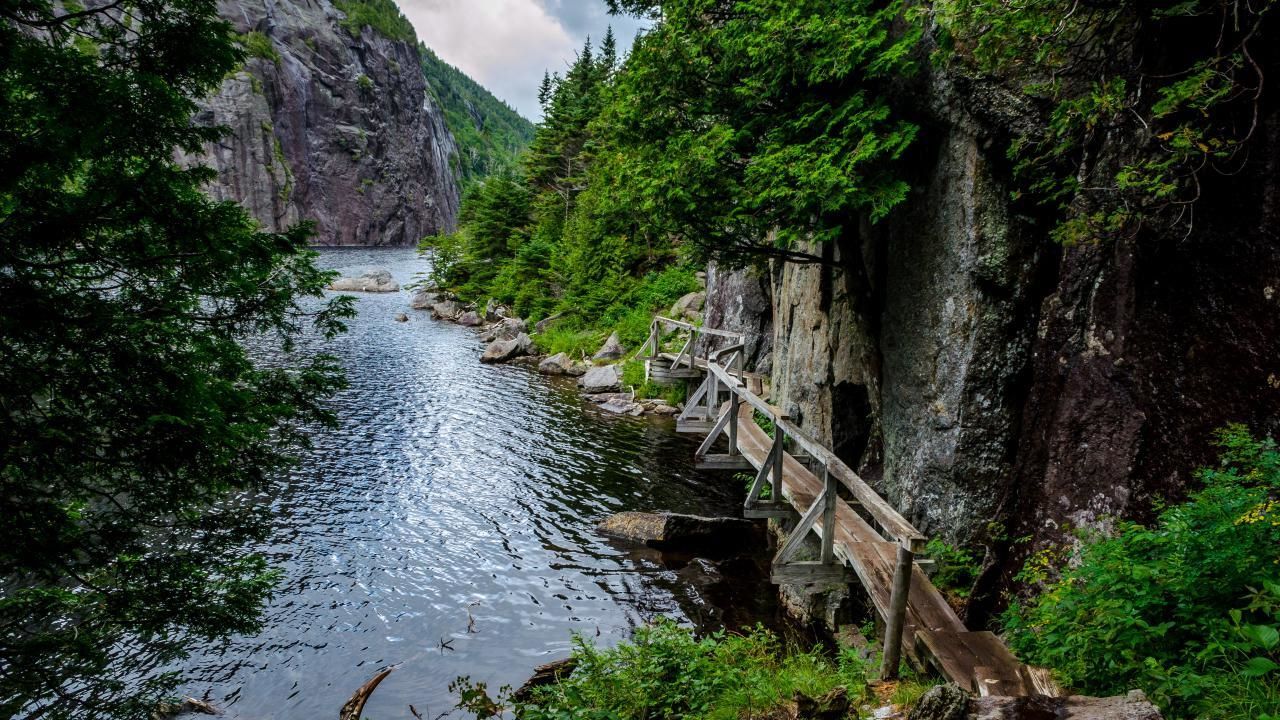 Hidden-Stromatolite-Structures-In-New-York8217s-Adirondack-Mountains hidden-stromatolite-structures-in-new-yorks-adirondack-mountains