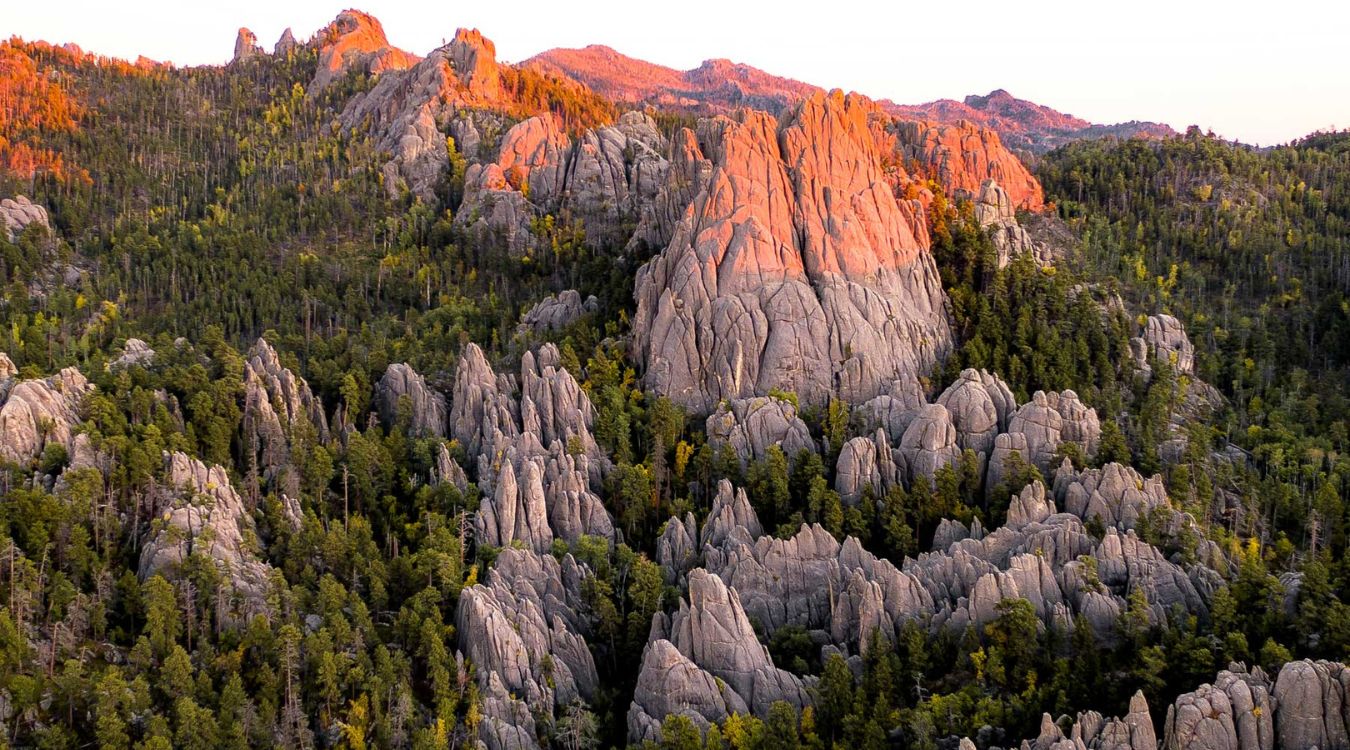 hidden-stromatolite-structures-in-south-dakotas-black-hills