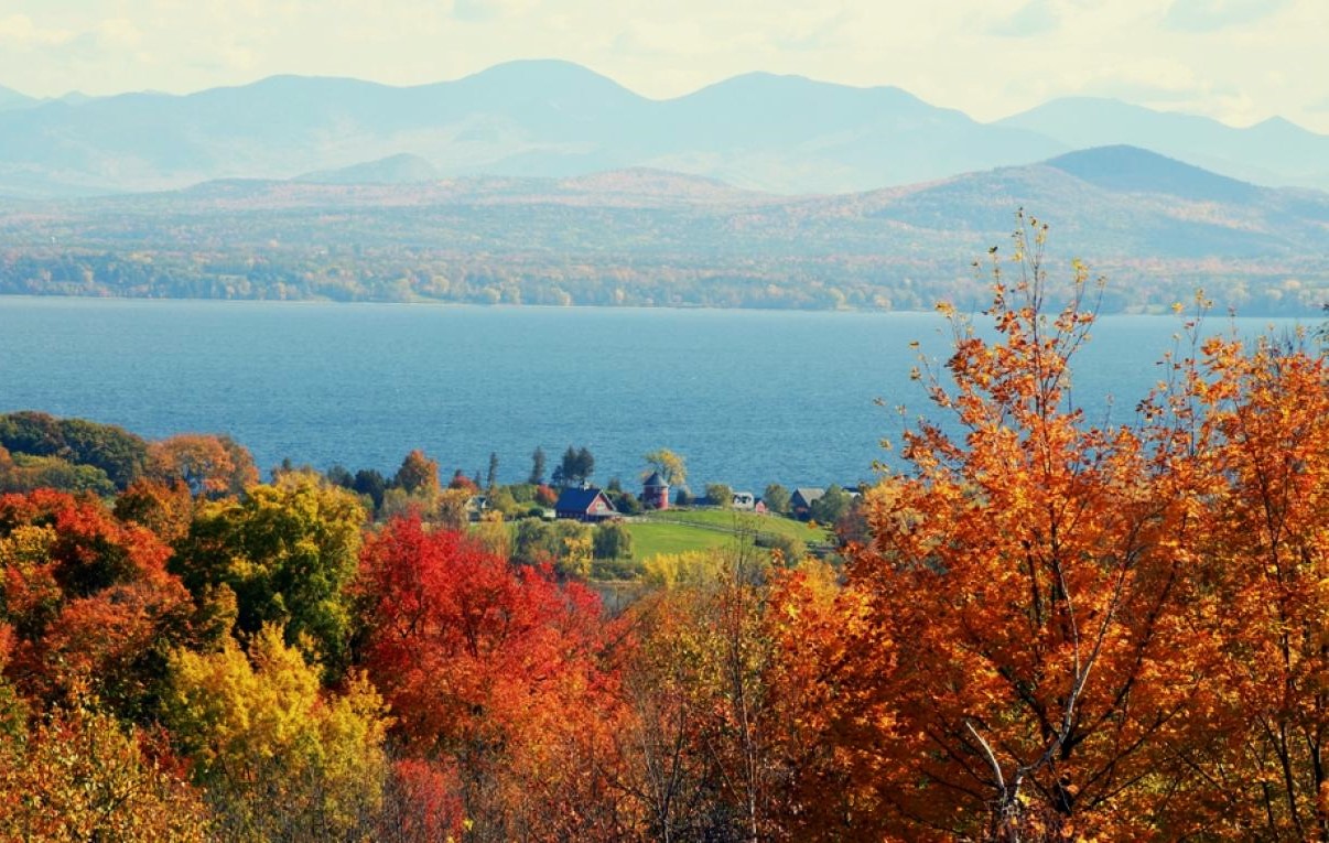 Hidden-Sunken-Forests-Of-Lake-Champlain hidden-sunken-forests-of-lake-champlain