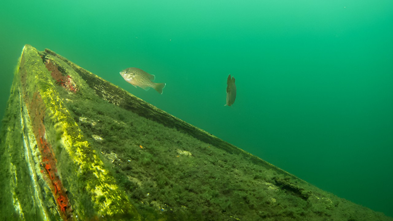 Hidden-Sunken-Ships-In-New-York8217s-Lake-George hidden-sunken-ships-in-new-yorks-lake-george