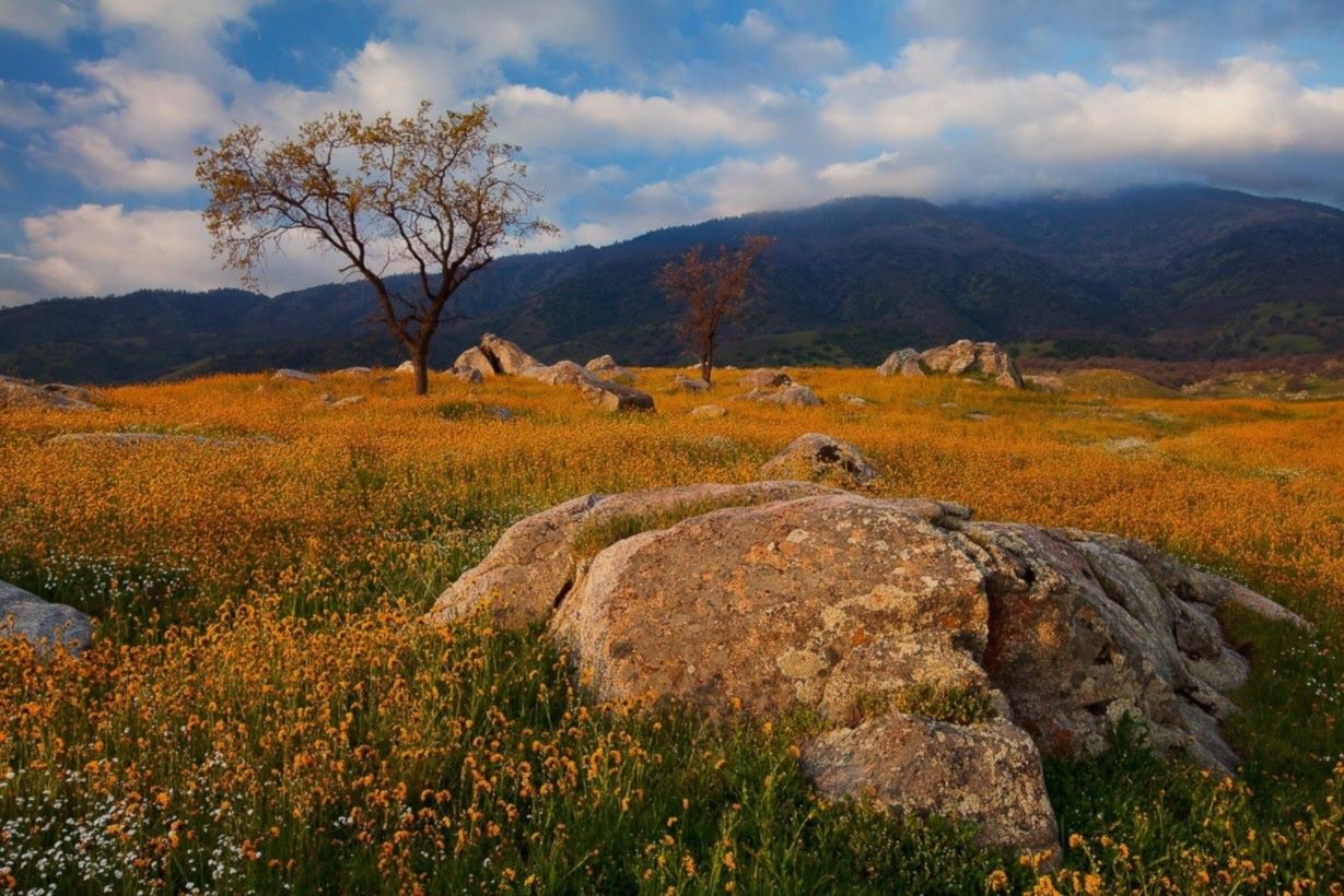 hidden-tales-of-tehachapi-valley
