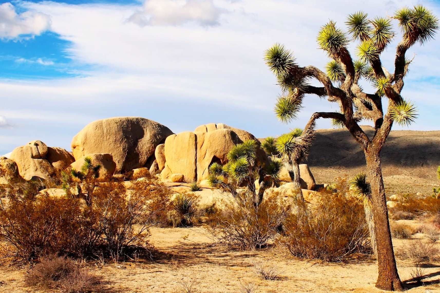 hidden-trails-in-joshua-tree-california