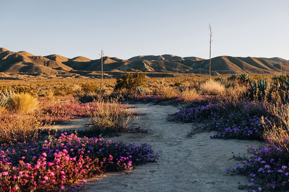 hidden-trails-of-borrego-springs-california