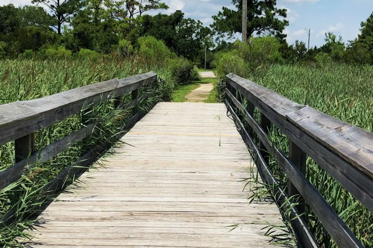 hidden-trails-of-georgetown-south-carolina