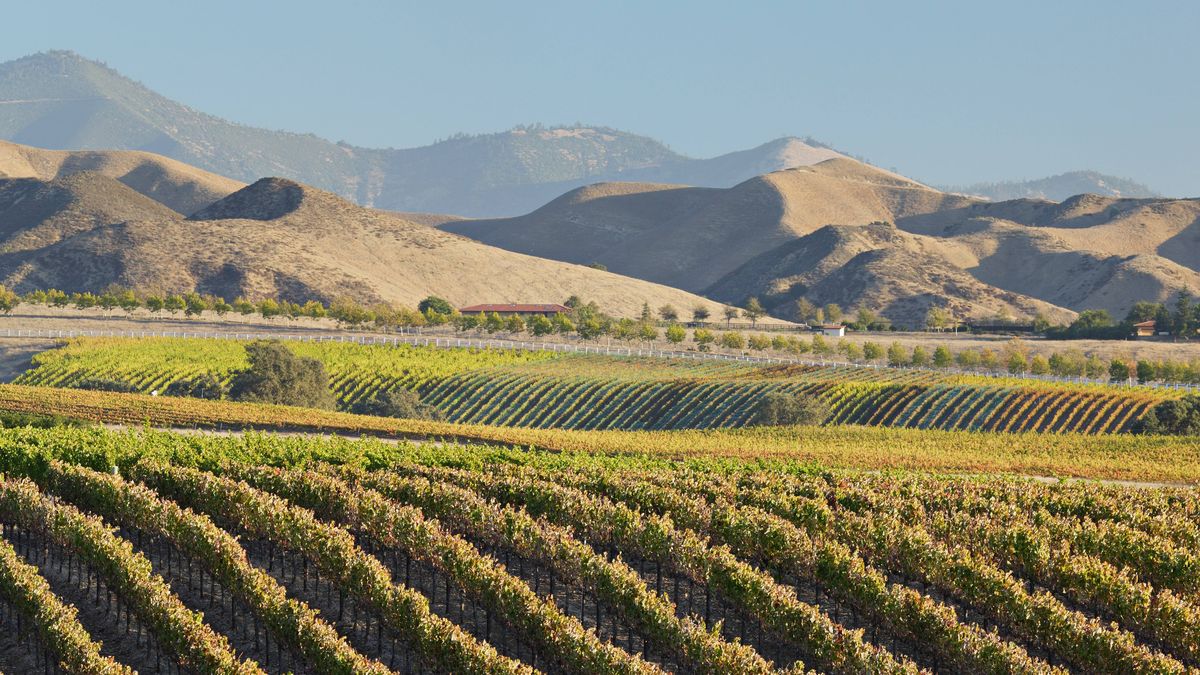hidden-trails-of-los-olivos-california