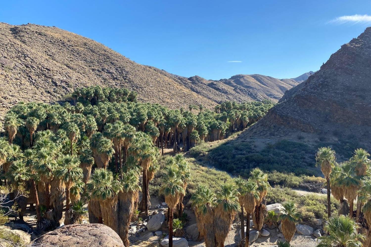 Hidden-Trails-Of-Palm-Springs-California hidden-trails-of-palm-springs-california