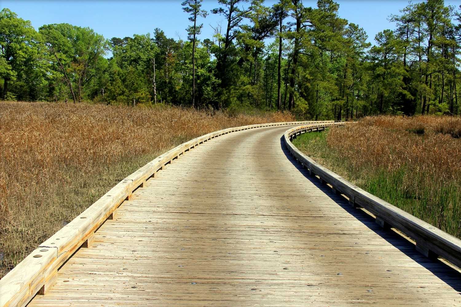 Hidden-Trails-Of-Williamsburg-Virginia hidden-trails-of-williamsburg-virginia