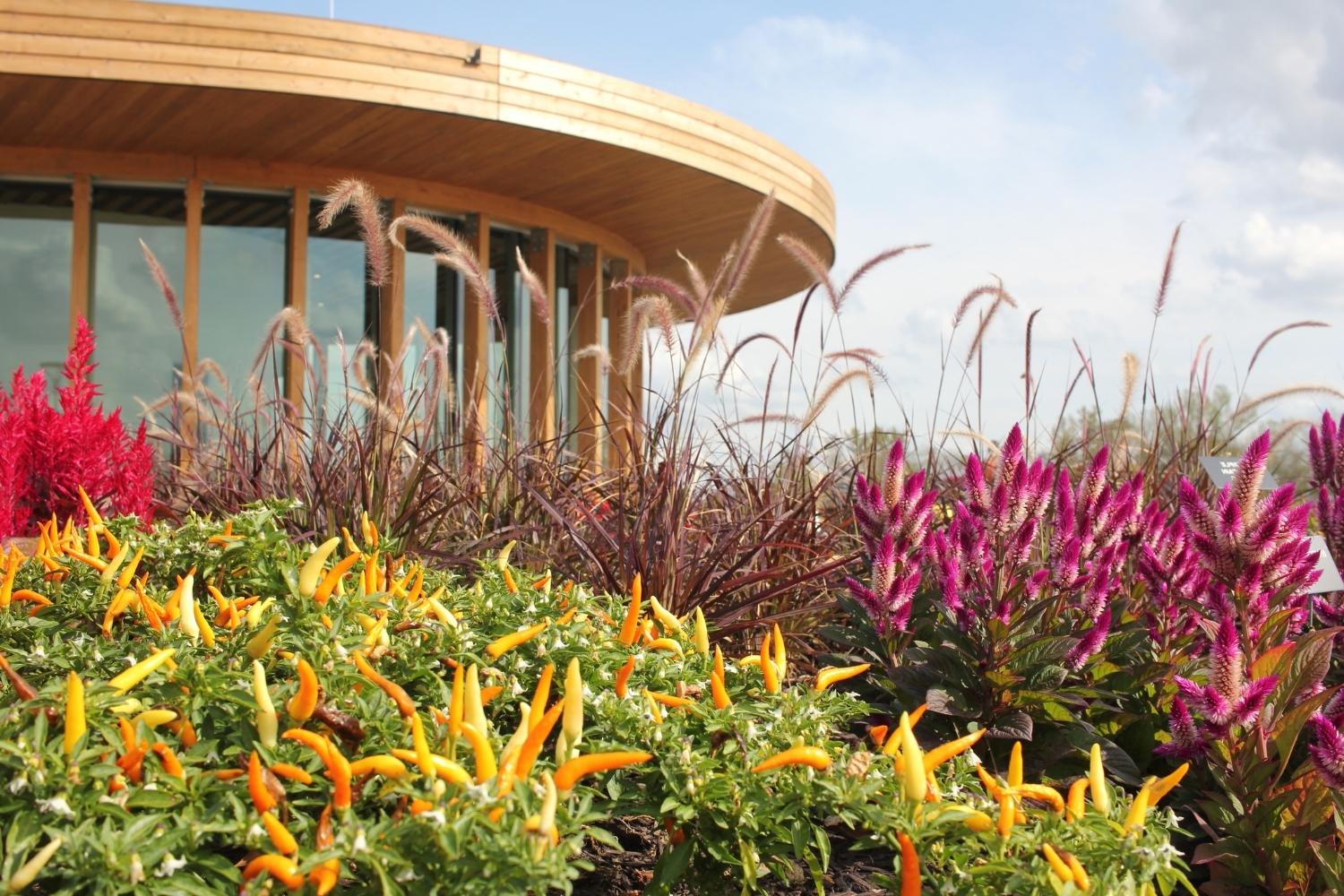 hidden-waterfront-gardens-of-seattle