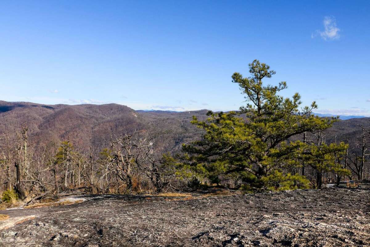 Hike-The-Stunning-Foothills-Trail-At-Table-Rock-State-Park hike-the-stunning-foothills-trail-at-table-rock-state-park