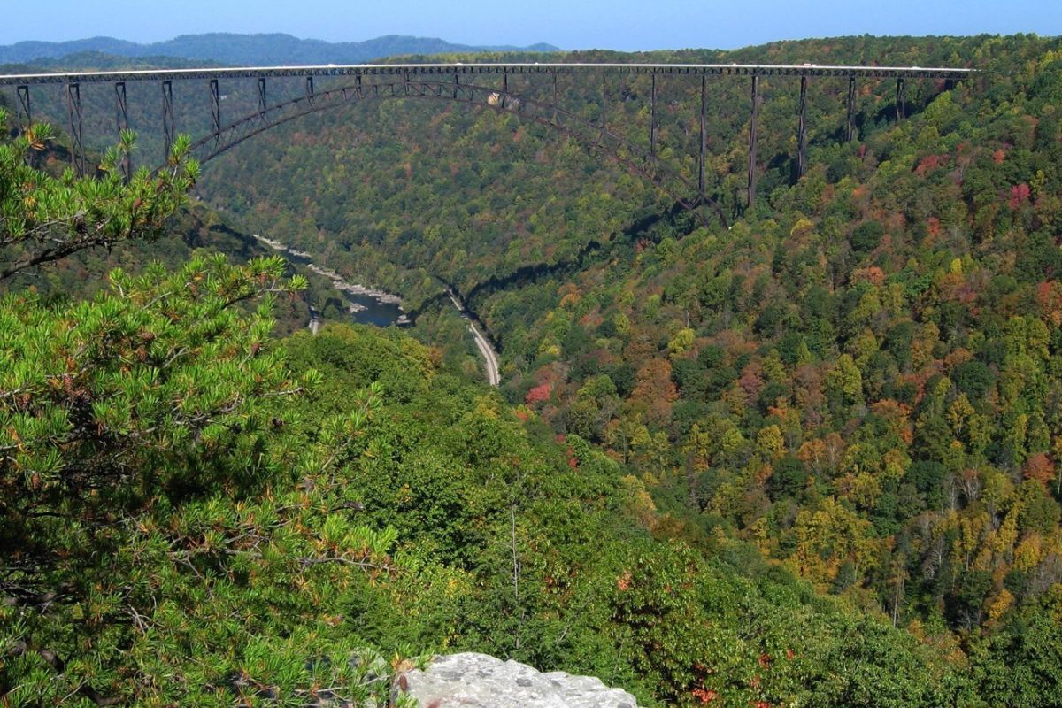 hike-to-breathtaking-views-on-long-point-trail