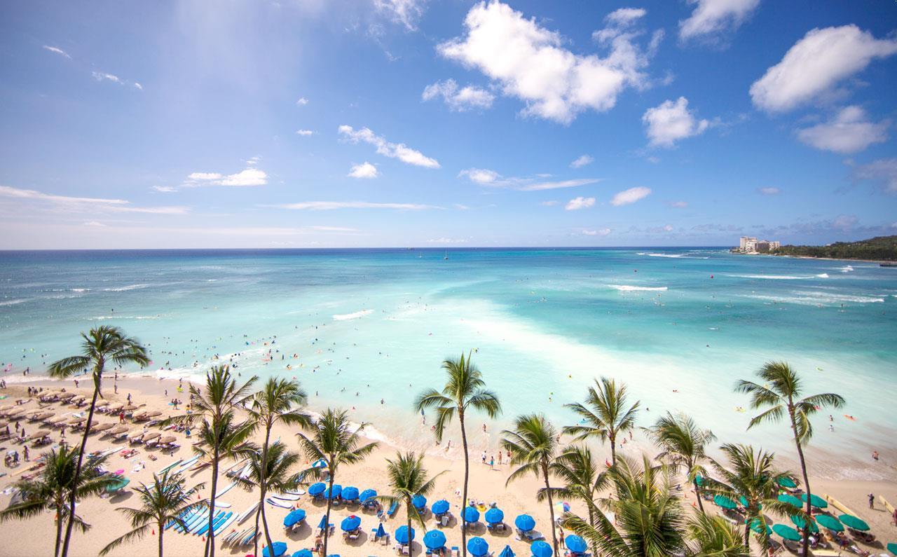 How-To-Get-From-Waikiki-To-North-Shore-On-Oahu-11-Best-Options-TouristSecrets how-to-get-from-waikiki-to-north-shore-on-oahu-11-best-options-touristsecrets