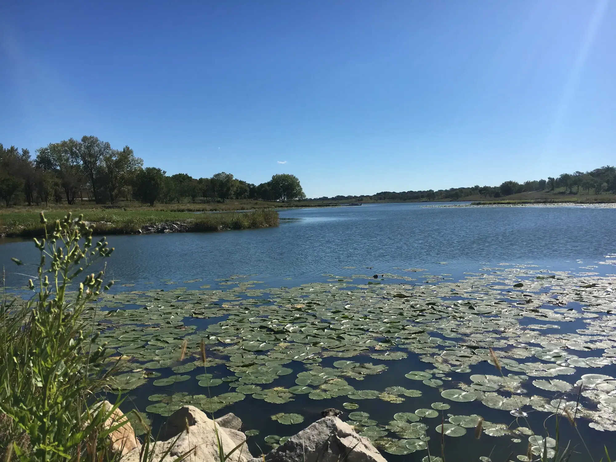 iowas-secret-lake-anita-state-park-prairie-transformation