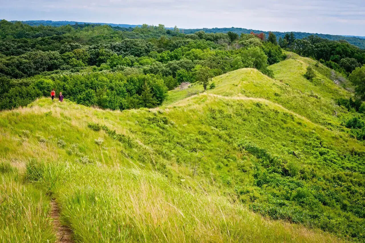 Iowa8217s-Secret-Wilderness-In-Loess-Hills iowas-secret-wilderness-in-loess-hills