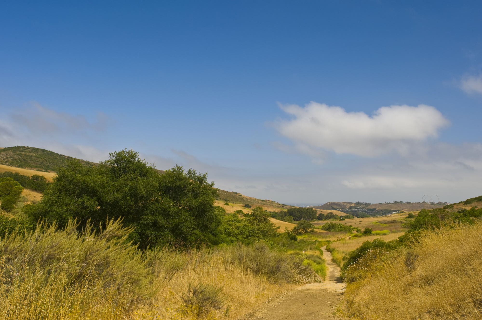 Irvine8217s-Hidden-Ranch-From-Cattle-To-Tech-Hub irvines-hidden-ranch-from-cattle-to-tech-hub
