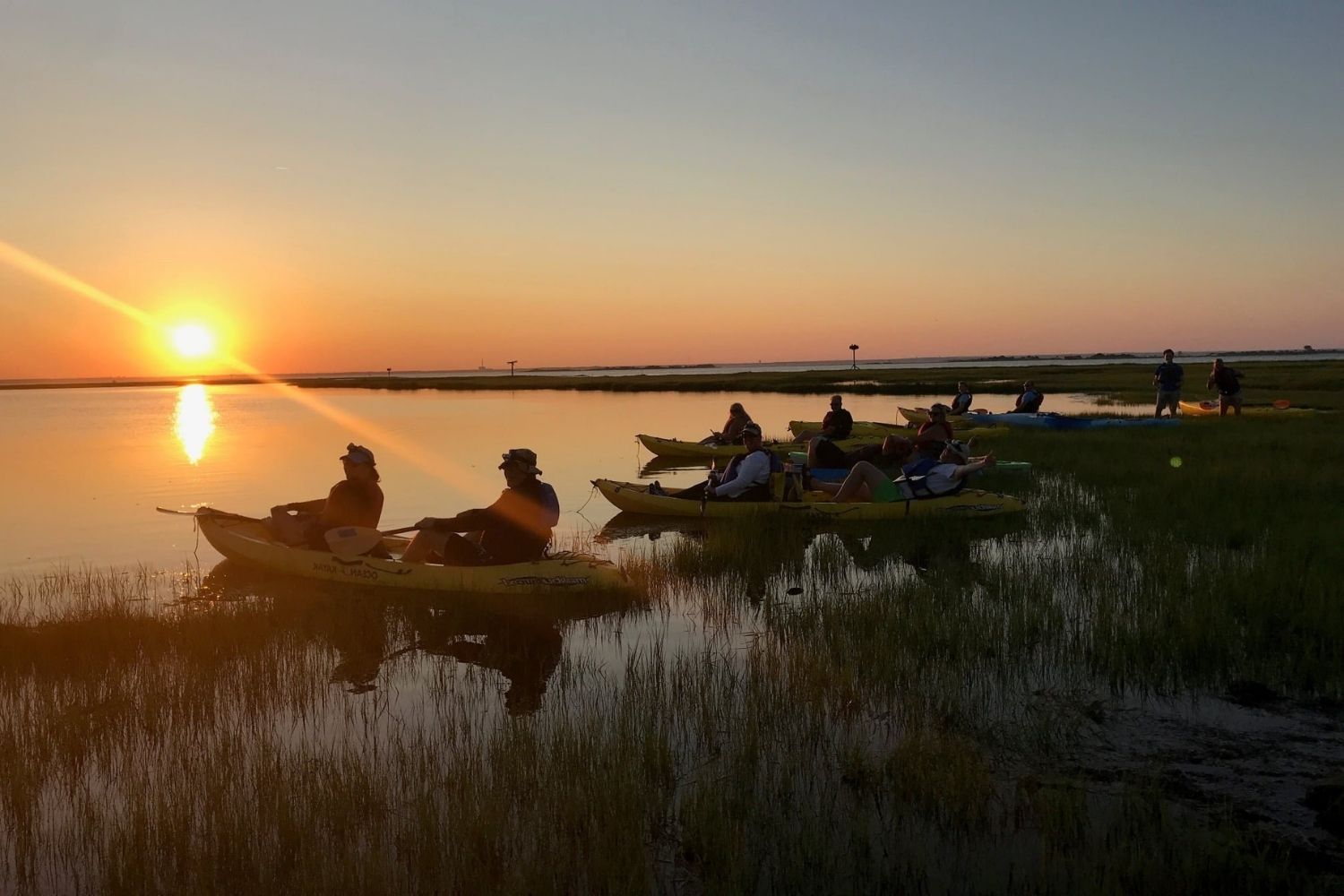 Island-Beach-State-Park8217s-Wild-Adventures island-beach-state-parks-wild-adventures
