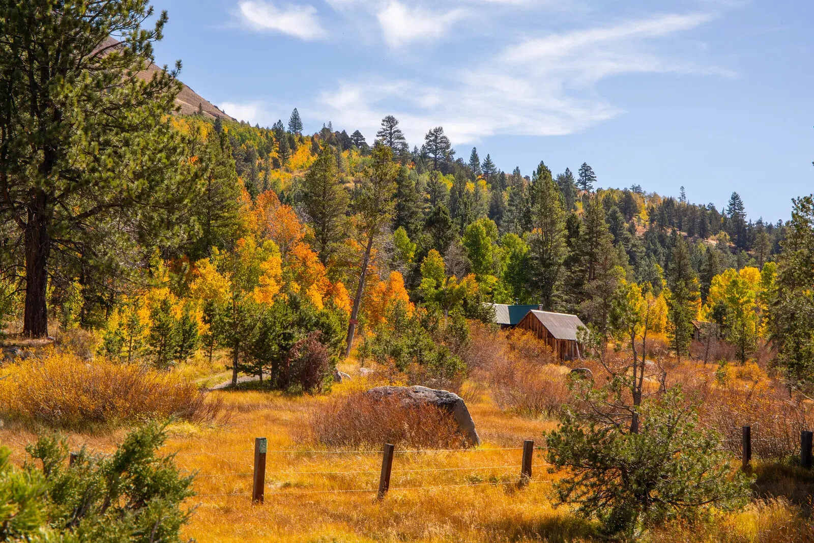 Journey-Through-Hope-Valley-California journey-through-hope-valley-california