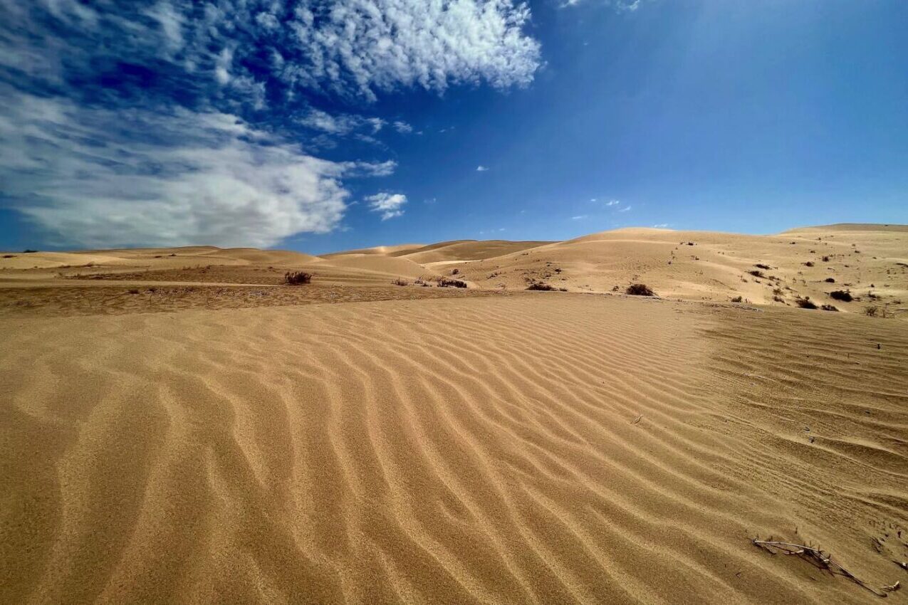 Journey-Through-Yuma8217s-Mysterious-Desert-Paths journey-through-yumas-mysterious-desert-paths
