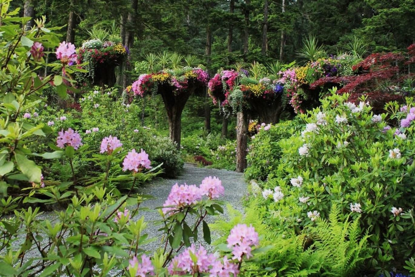 juneaus-enchanting-glacier-gardens-rainforest-adventure