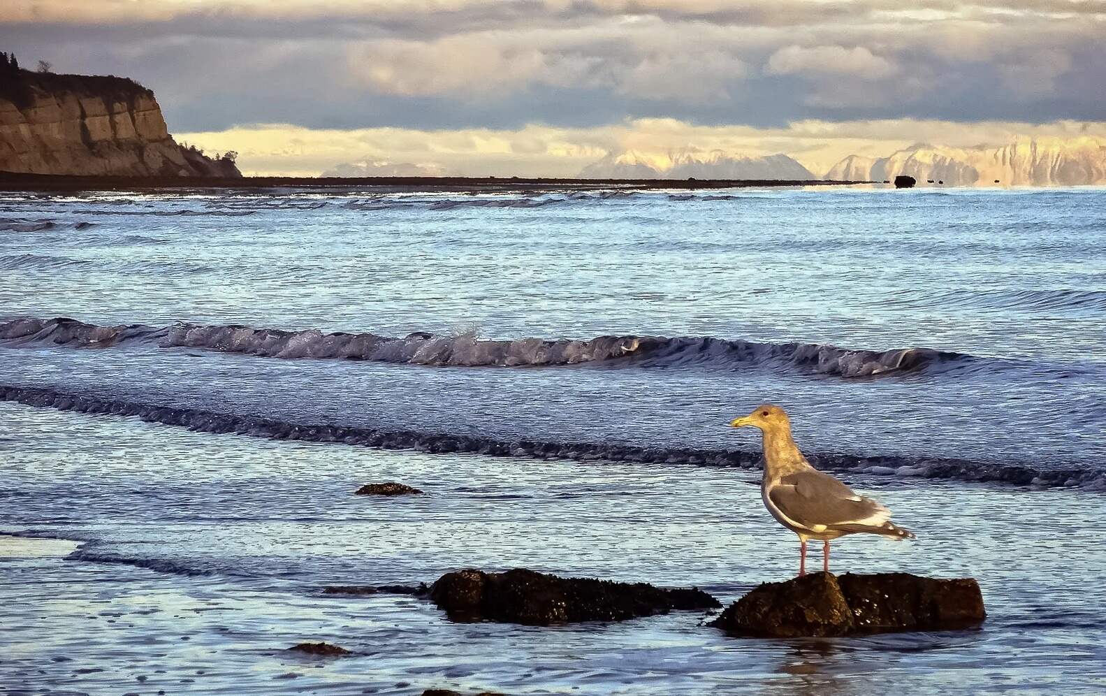 kachemak-bays-thrilling-coastal-trails