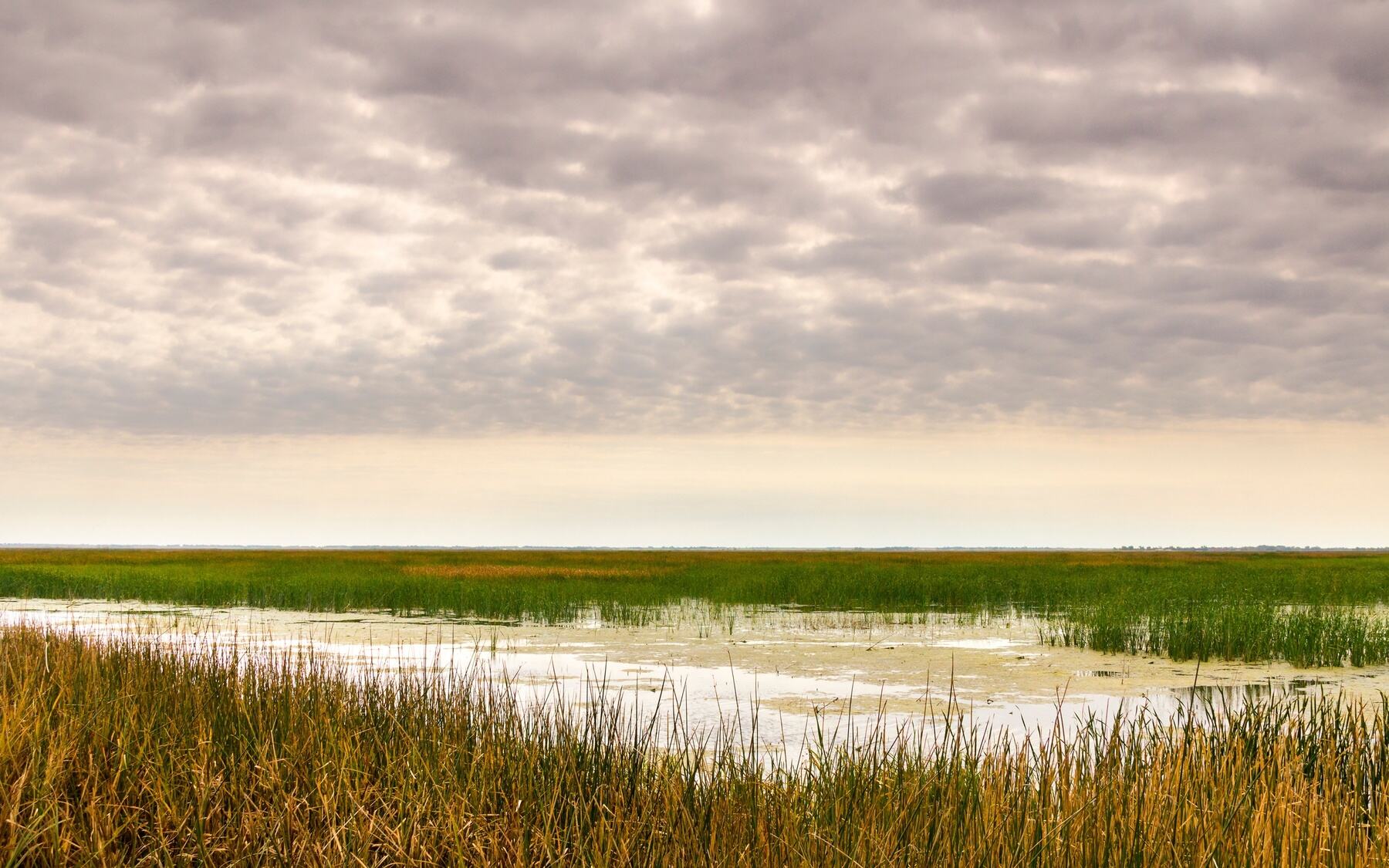 Kansas8217-Secret-The-Largest-Inland-Marsh-In-The-US kansas-secret-the-largest-inland-marsh-in-the-us