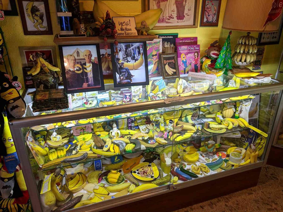 Lost-Banana-Museum-Of-Hesperia-Forgotten-Fruit-Treasures lost-banana-museum-of-hesperia-forgotten-fruit-treasures