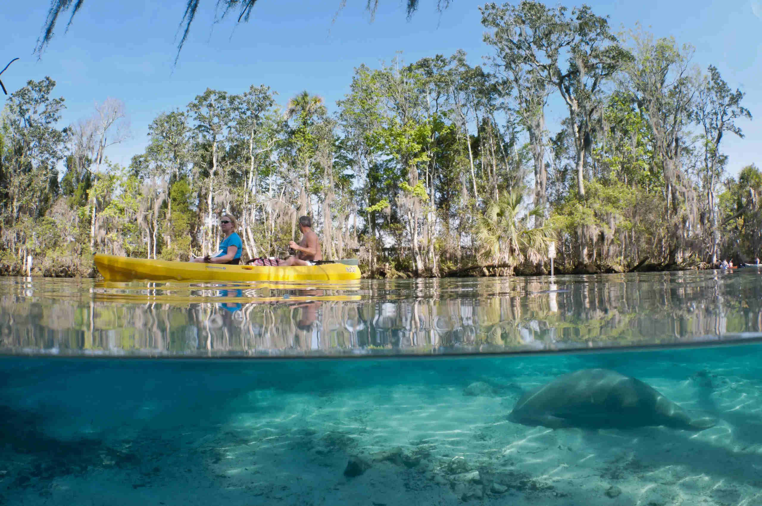 lost-floating-gardens-of-floridas-crystal-river