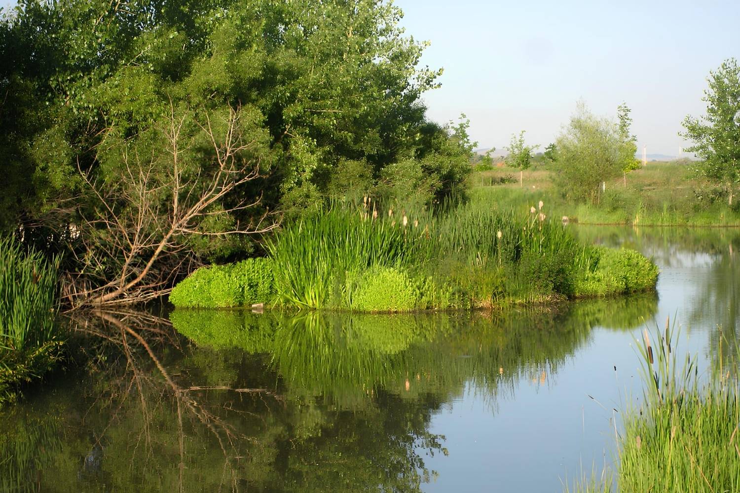 Lost-Floating-Gardens-Of-The-Mississippi-Delta lost-floating-gardens-of-the-mississippi-delta