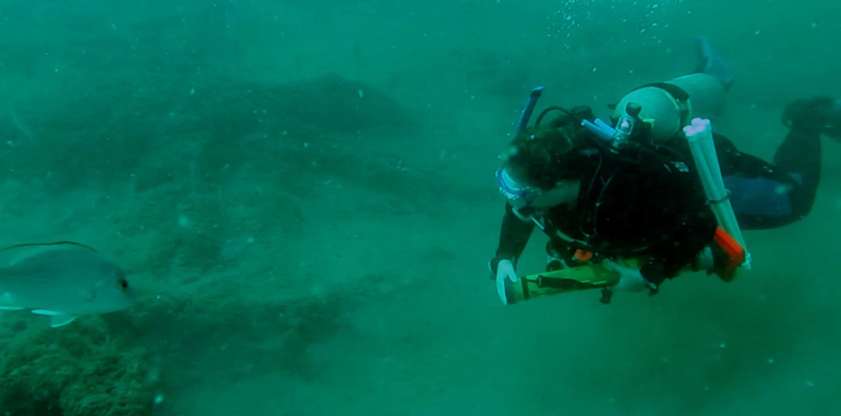 Lost-Underwater-Forest-Of-Alabama-Hidden-Cypress-Grove lost-underwater-forest-of-alabama-hidden-cypress-grove