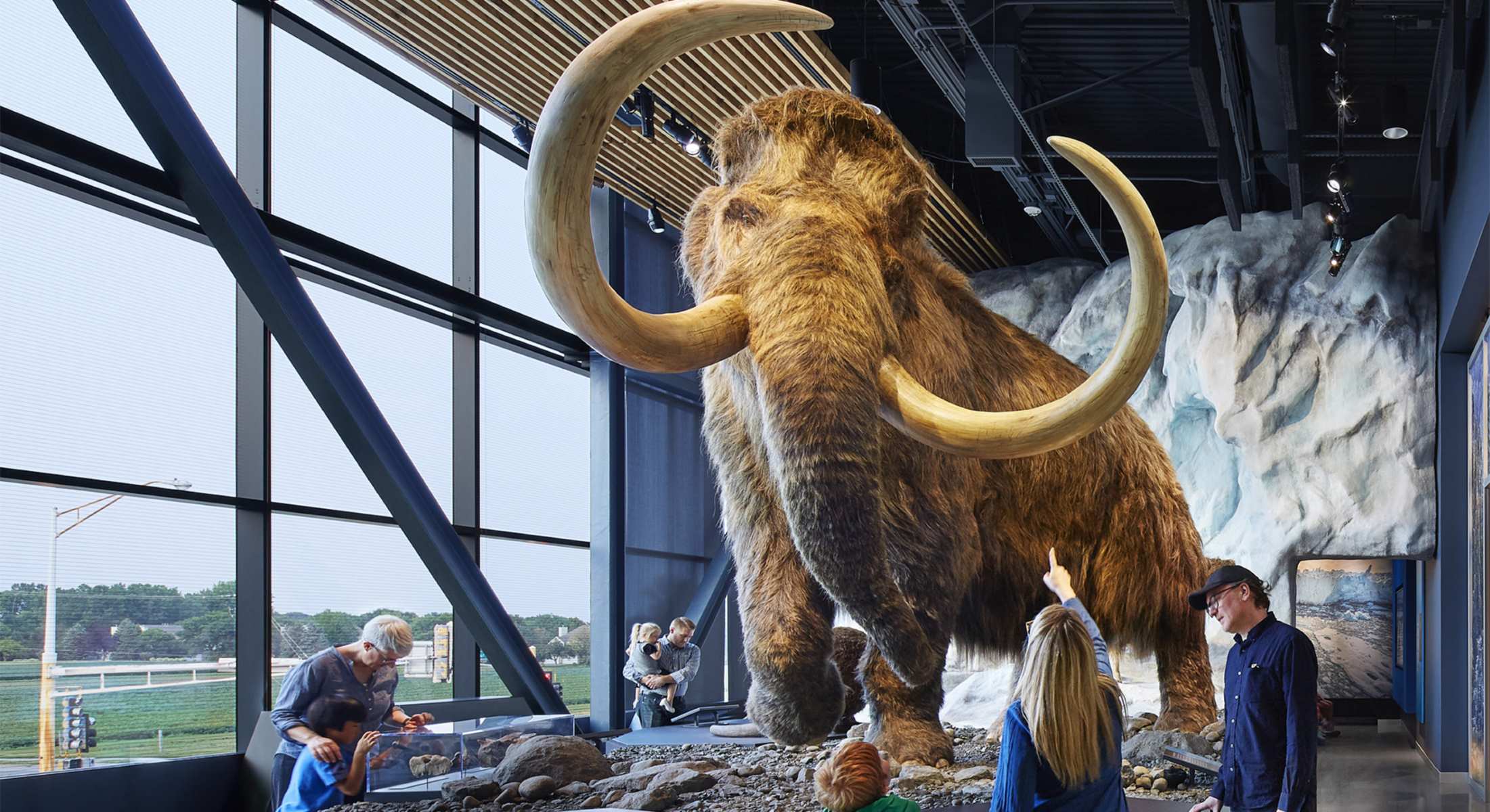 mammoth-marvels-cosmic-wonders-at-bell-museum