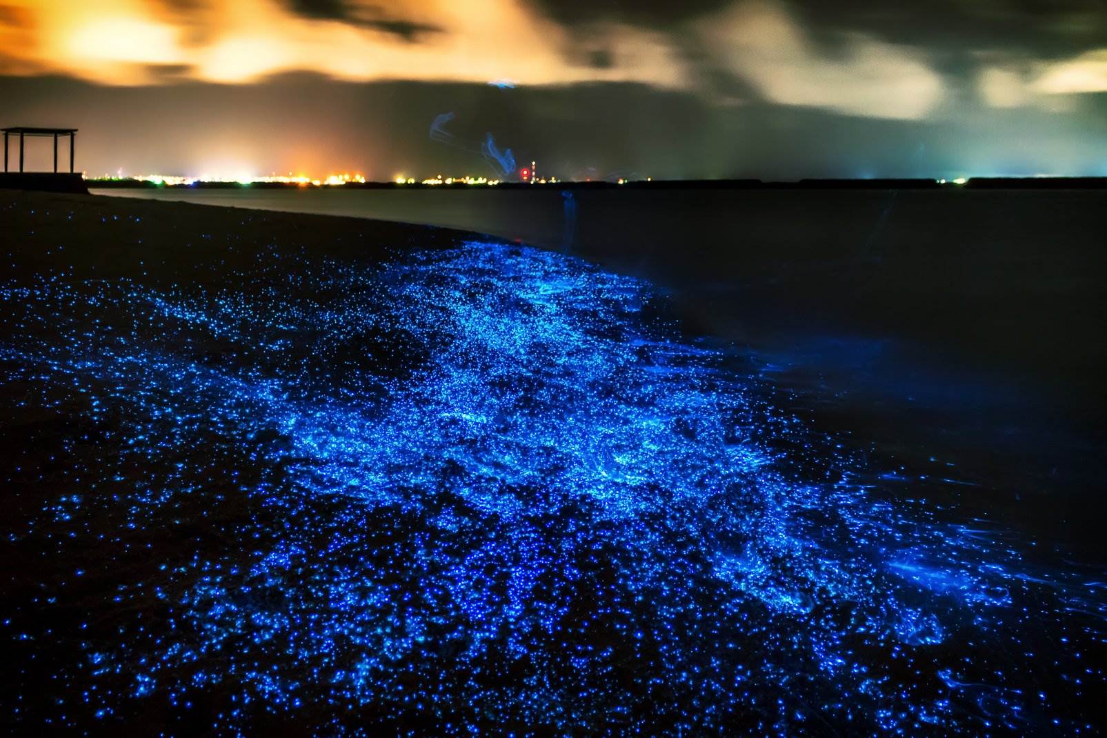 Manasquan8217s-Hidden-Glowing-Beach manasquans-hidden-glowing-beach