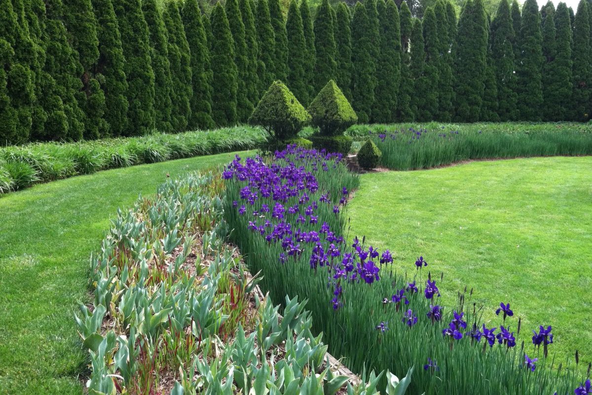 Manor-House-Magic-At-Ladew-Topiary-Gardens manor-house-magic-at-ladew-topiary-gardens