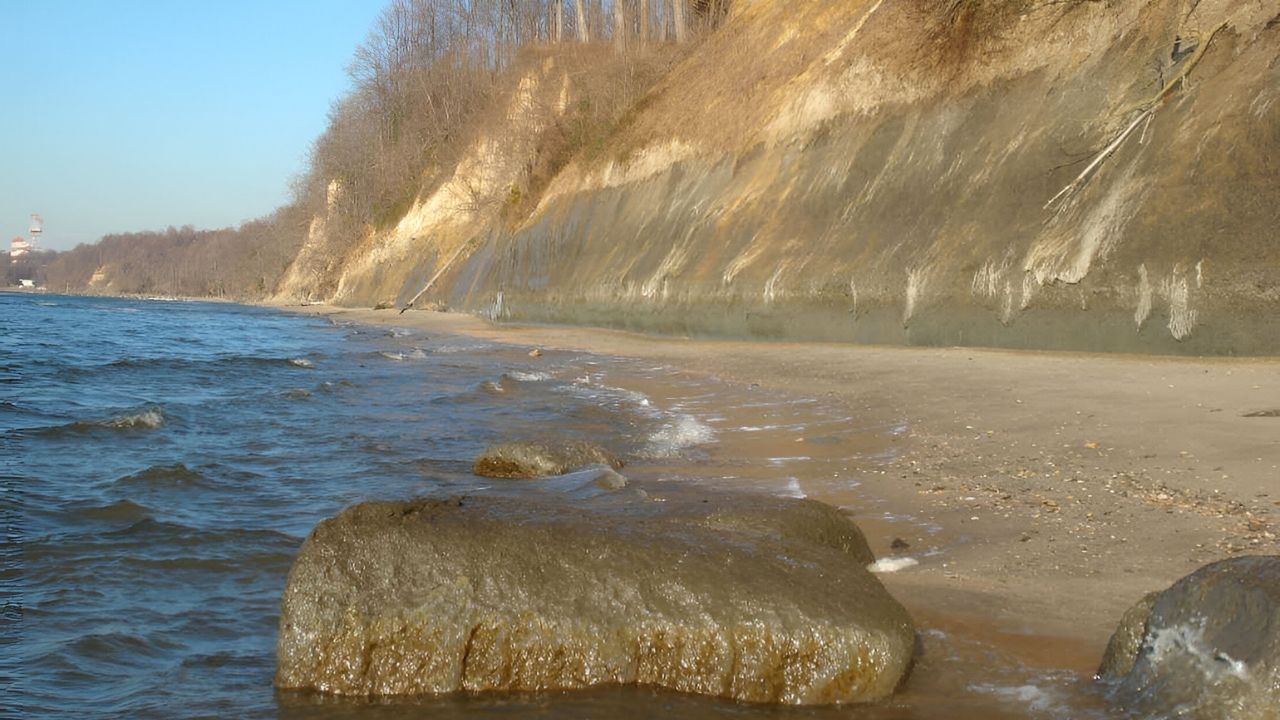 Maryland8217s-Calvert-Cliffs-Mystery-Fossils-On-Chesapeake-Beaches marylands-calvert-cliffs-mystery-fossils-on-chesapeake-beaches