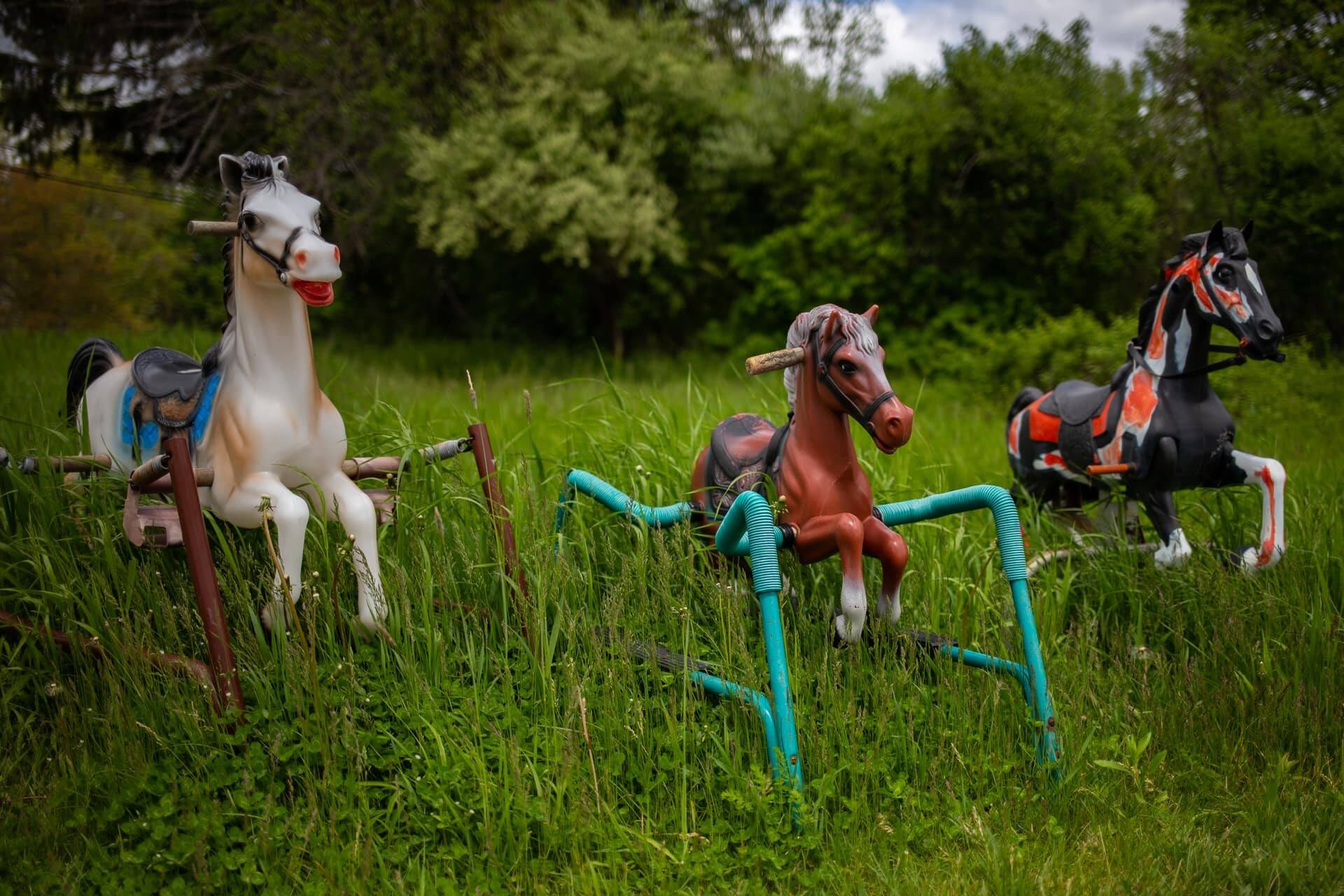 massachusetts-secret-ponyhenge-mystery-of-rocking-horses