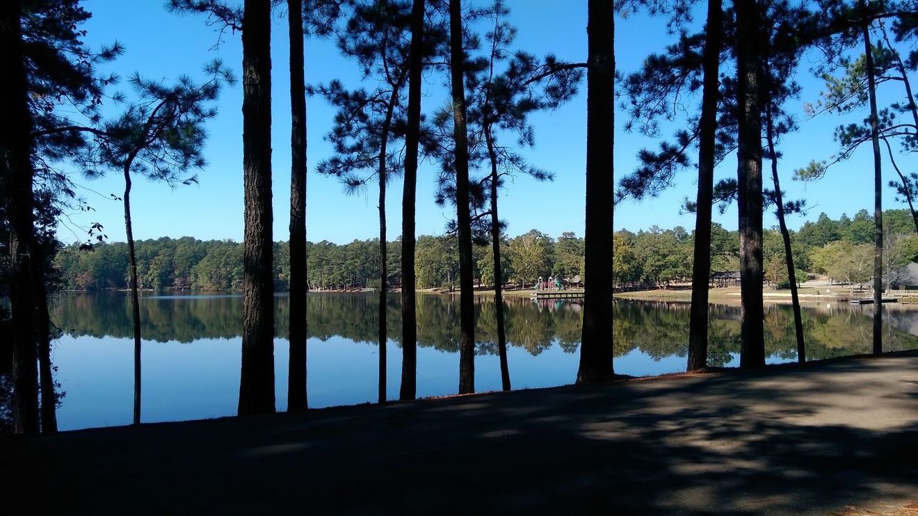 Mississippi8217s-Secret-Clarkco-State-Park-Lake-And-River-Adventure mississippis-secret-clarkco-state-park-lake-and-river-adventure