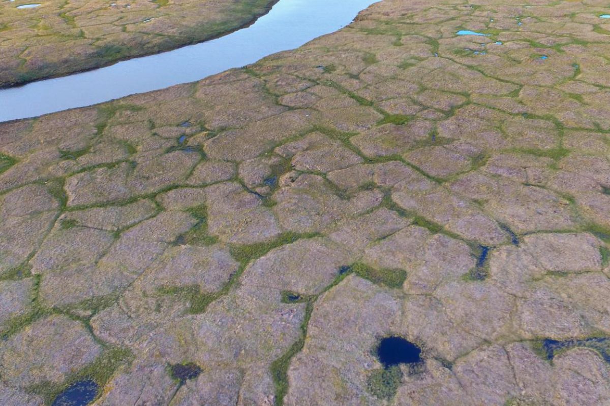 Mysteries-Of-Alaska8217s-Frost-Polygon-Fields mysteries-of-alaskas-frost-polygon-fields