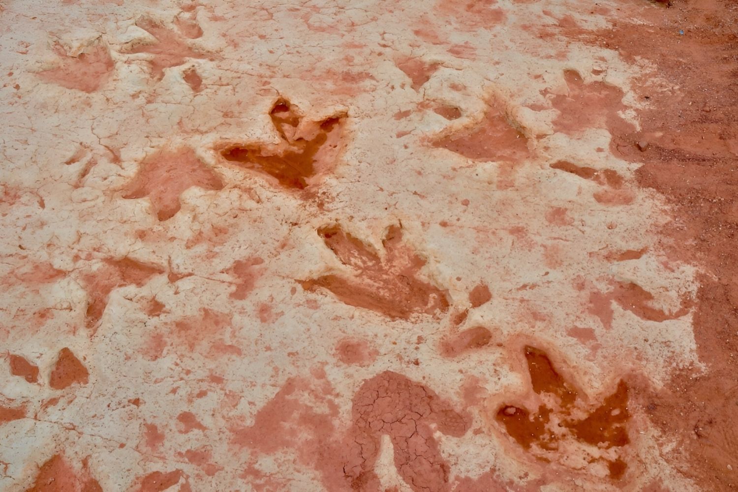 mysteries-of-ancient-paths-in-tuba-city-arizona