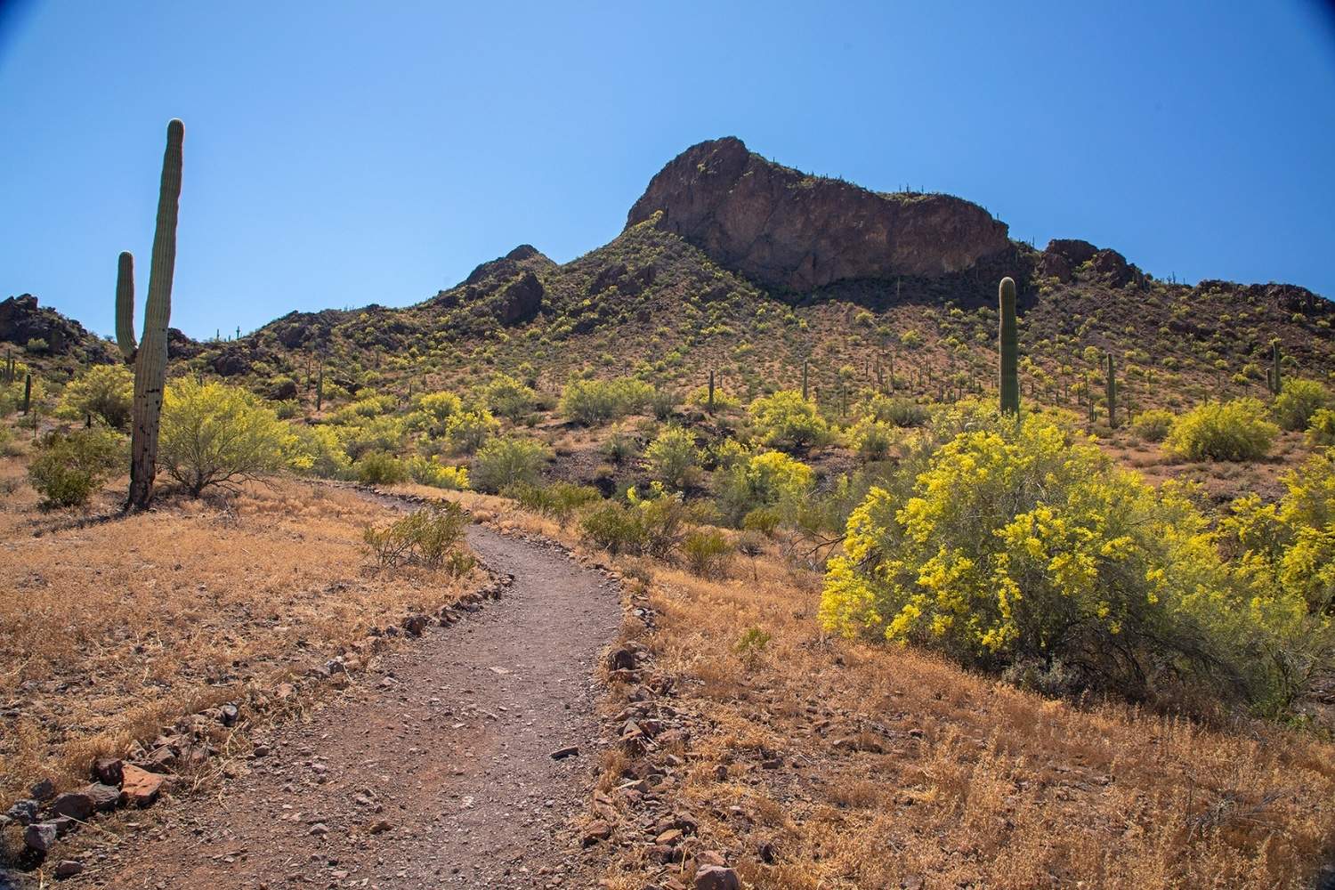 mysteries-of-ancient-trails-in-casa-grande-arizona