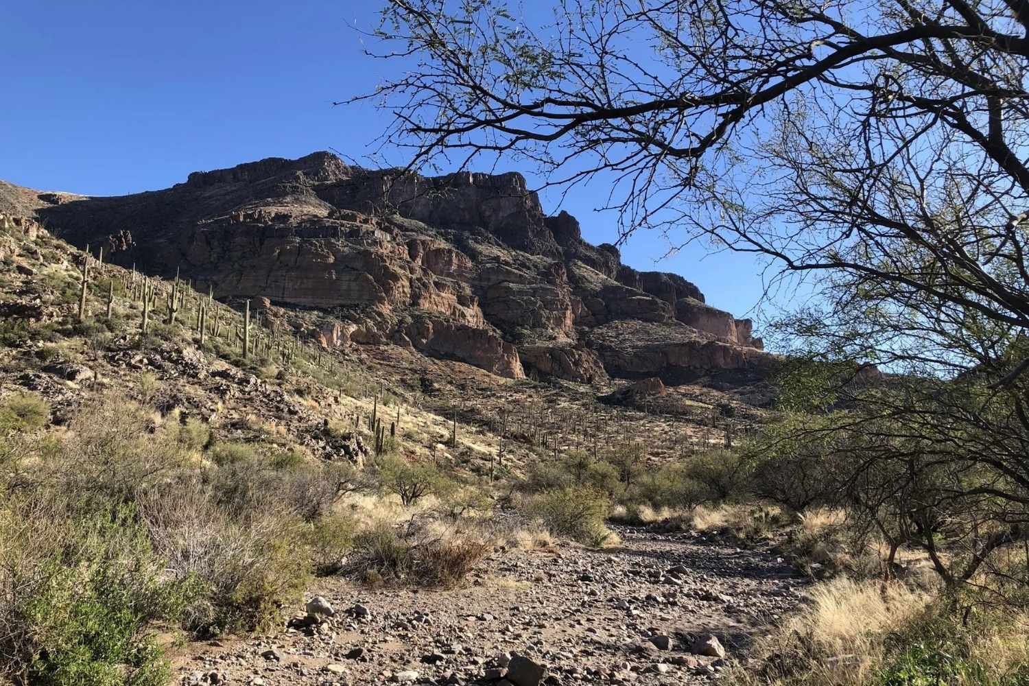 Mysteries-Of-Ancient-Trails-In-Tonto-Arizona mysteries-of-ancient-trails-in-tonto-arizona