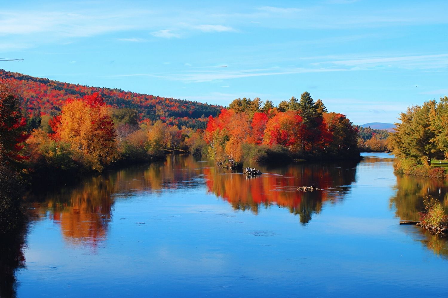 mysteries-of-berlin-new-hampshires-forests