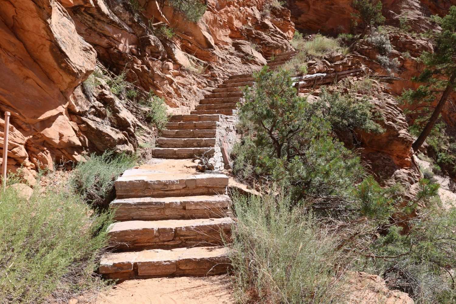 mysteries-of-betatakins-ancient-trails