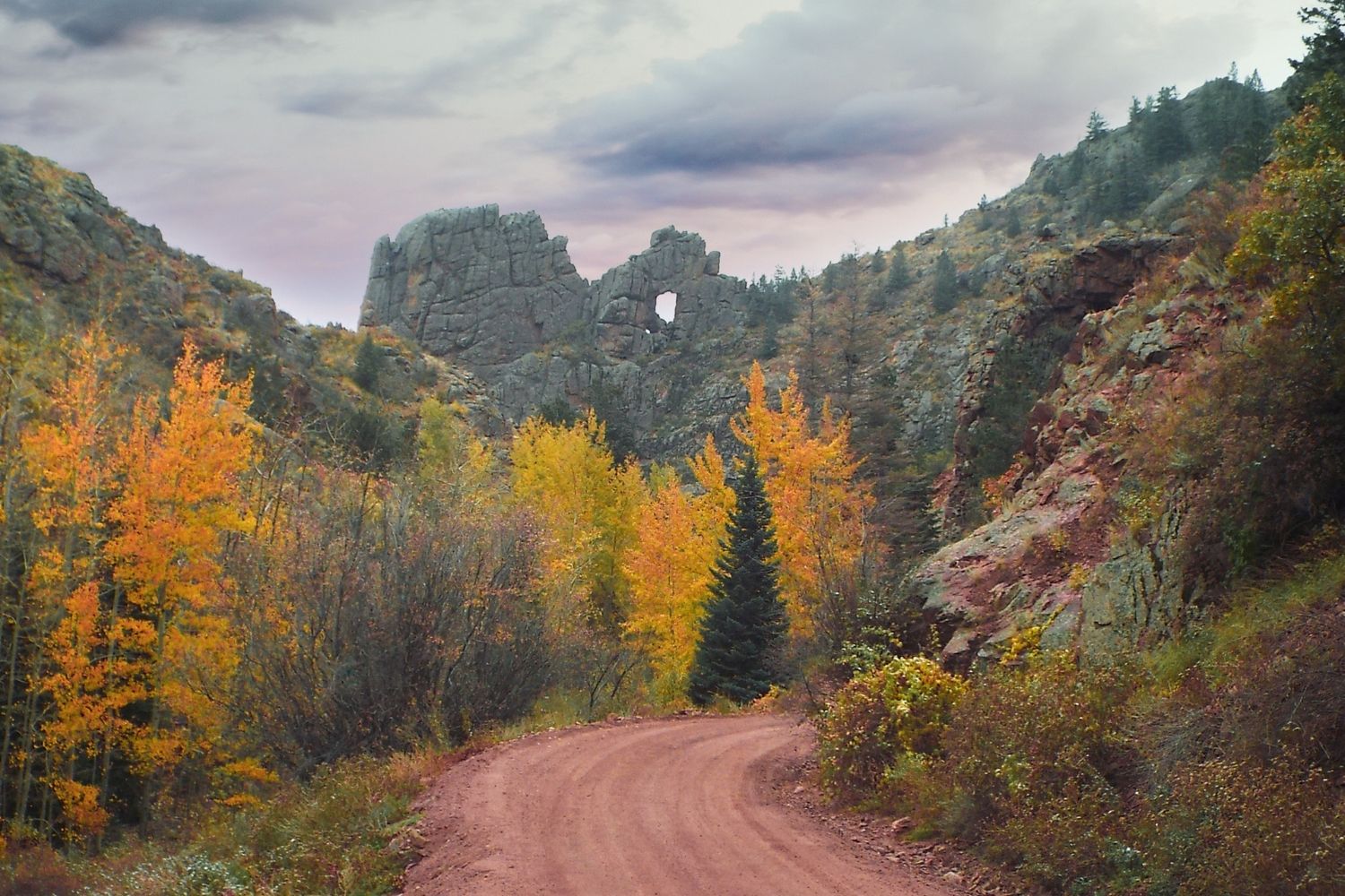 Mysteries-Of-Cripple-Creek8217s-Forest-Paths mysteries-of-cripple-creeks-forest-paths