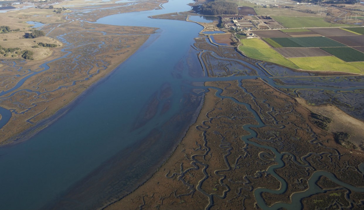 Mysteries-Of-Elkhorn-Slough8217s-Echoing-Estuaries mysteries-of-elkhorn-sloughs-echoing-estuaries