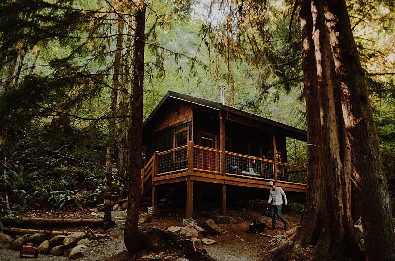 mysteries-of-friday-harbors-forests